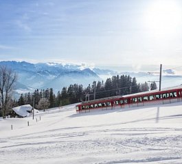 Zimní Královna hor Rigi s fondue zážitkovou zubačkou
